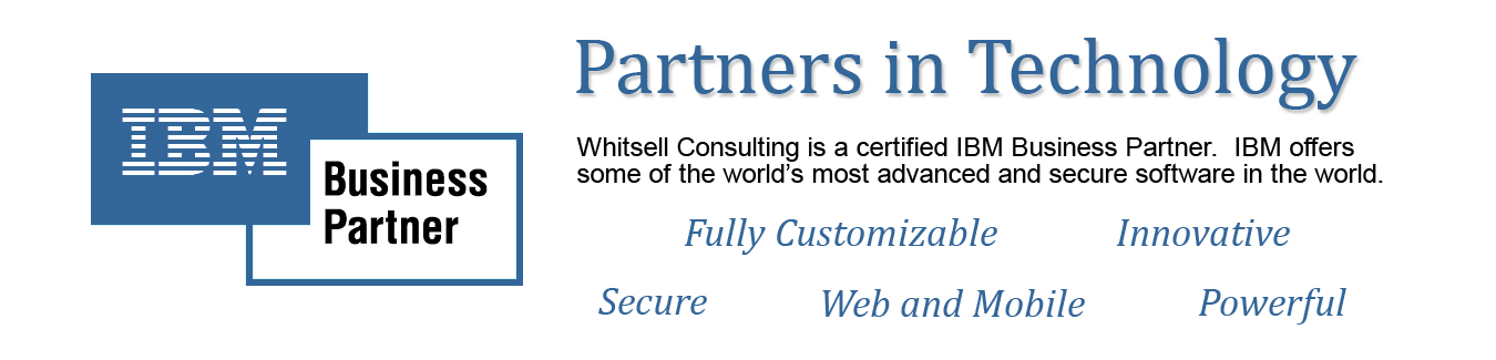 IBM Business Partner