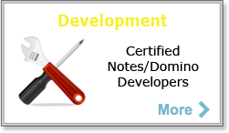 Lotus Notes Development